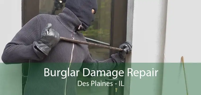 Burglar Damage Repair Des Plaines - IL