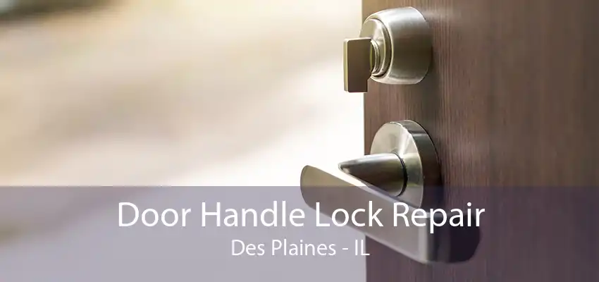 Door Handle Lock Repair Des Plaines - IL