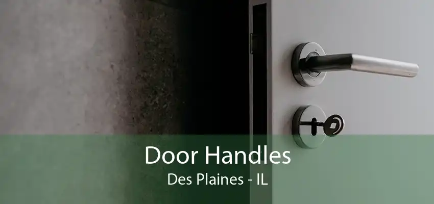 Door Handles Des Plaines - IL