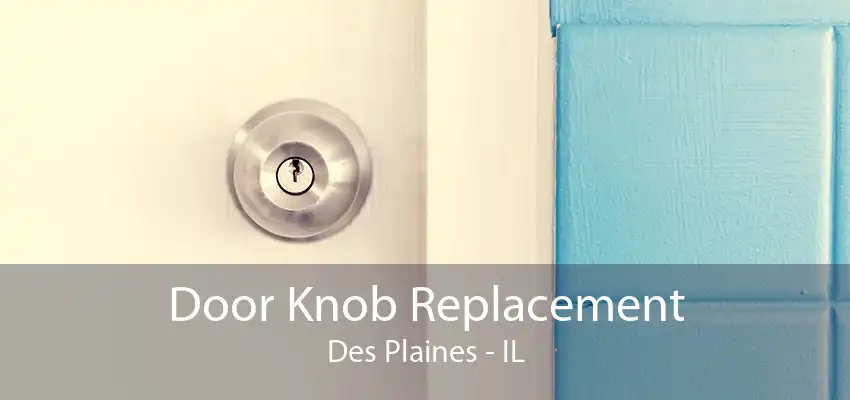 Door Knob Replacement Des Plaines - IL