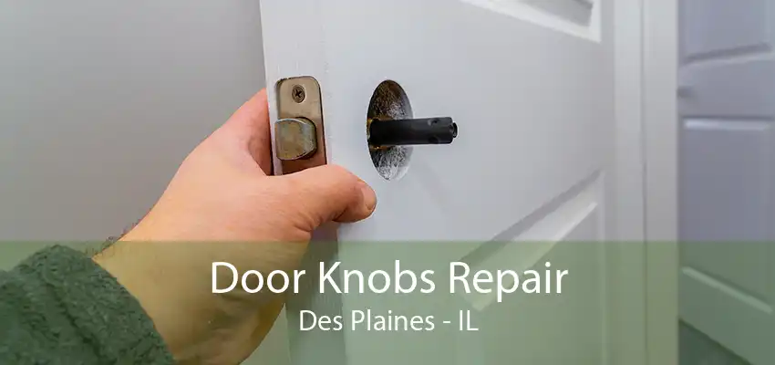 Door Knobs Repair Des Plaines - IL