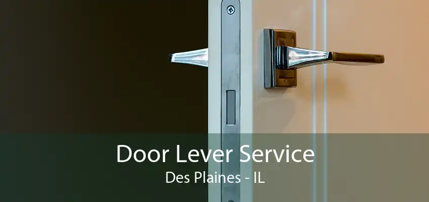 Door Lever Service Des Plaines - IL