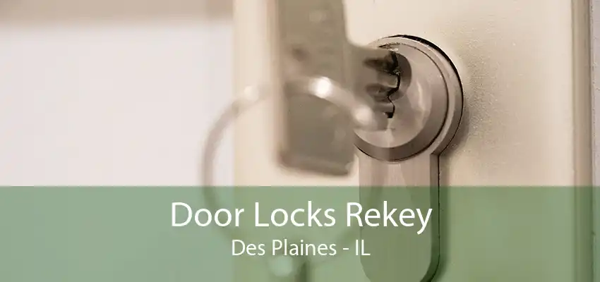 Door Locks Rekey Des Plaines - IL