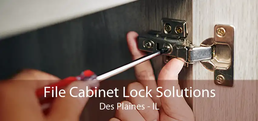 File Cabinet Lock Solutions Des Plaines - IL