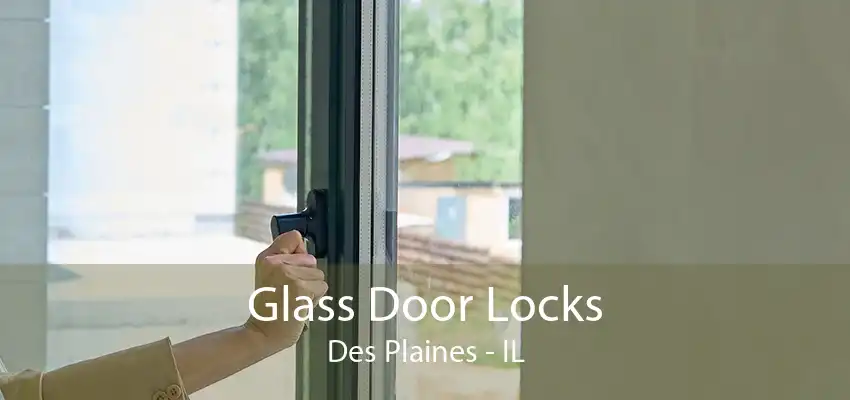 Glass Door Locks Des Plaines - IL