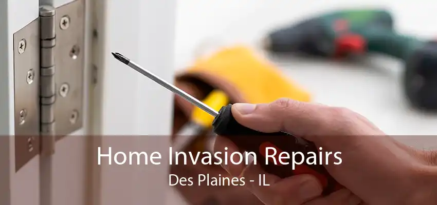 Home Invasion Repairs Des Plaines - IL