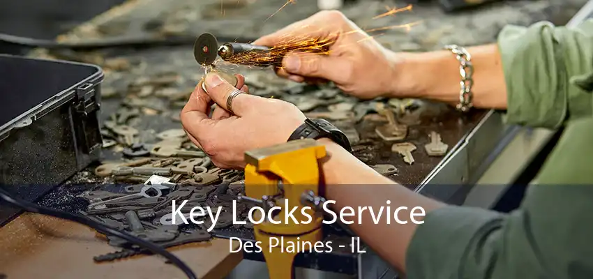 Key Locks Service Des Plaines - IL