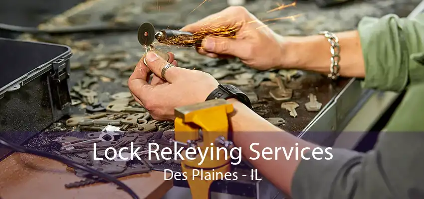 Lock Rekeying Services Des Plaines - IL