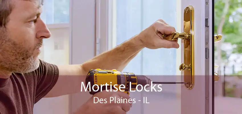 Mortise Locks Des Plaines - IL