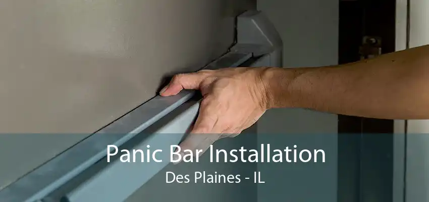 Panic Bar Installation Des Plaines - IL