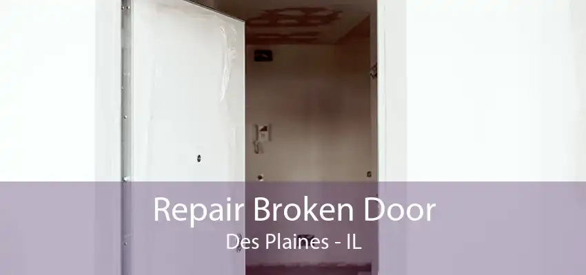 Repair Broken Door Des Plaines - IL