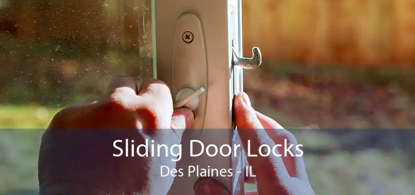 Sliding Door Locks Des Plaines - IL