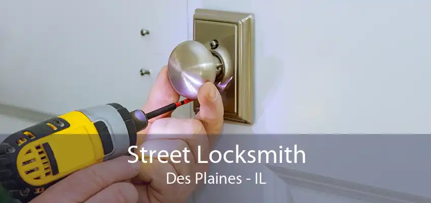 Street Locksmith Des Plaines - IL