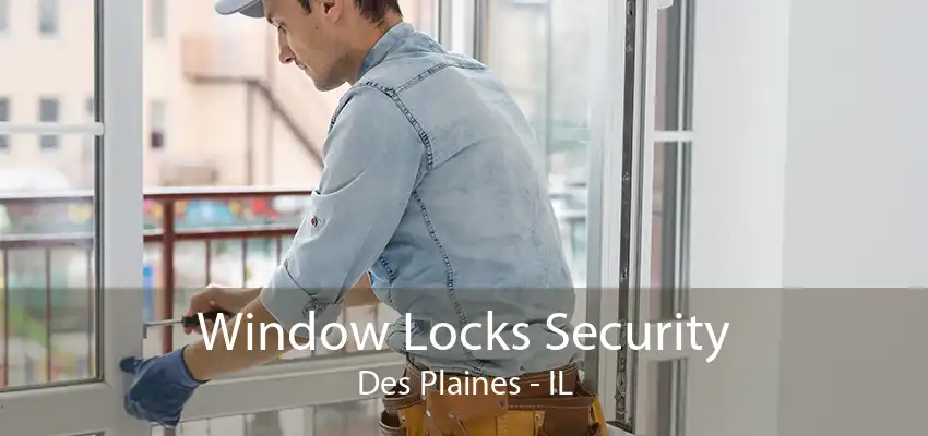 Window Locks Security Des Plaines - IL